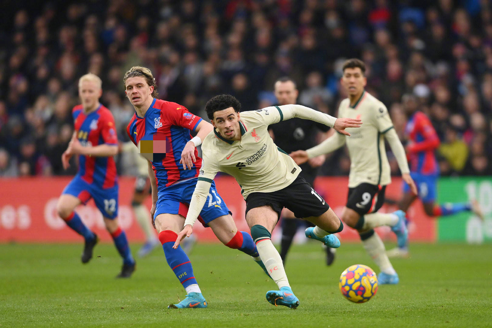 科內的轉會 科內的轉會