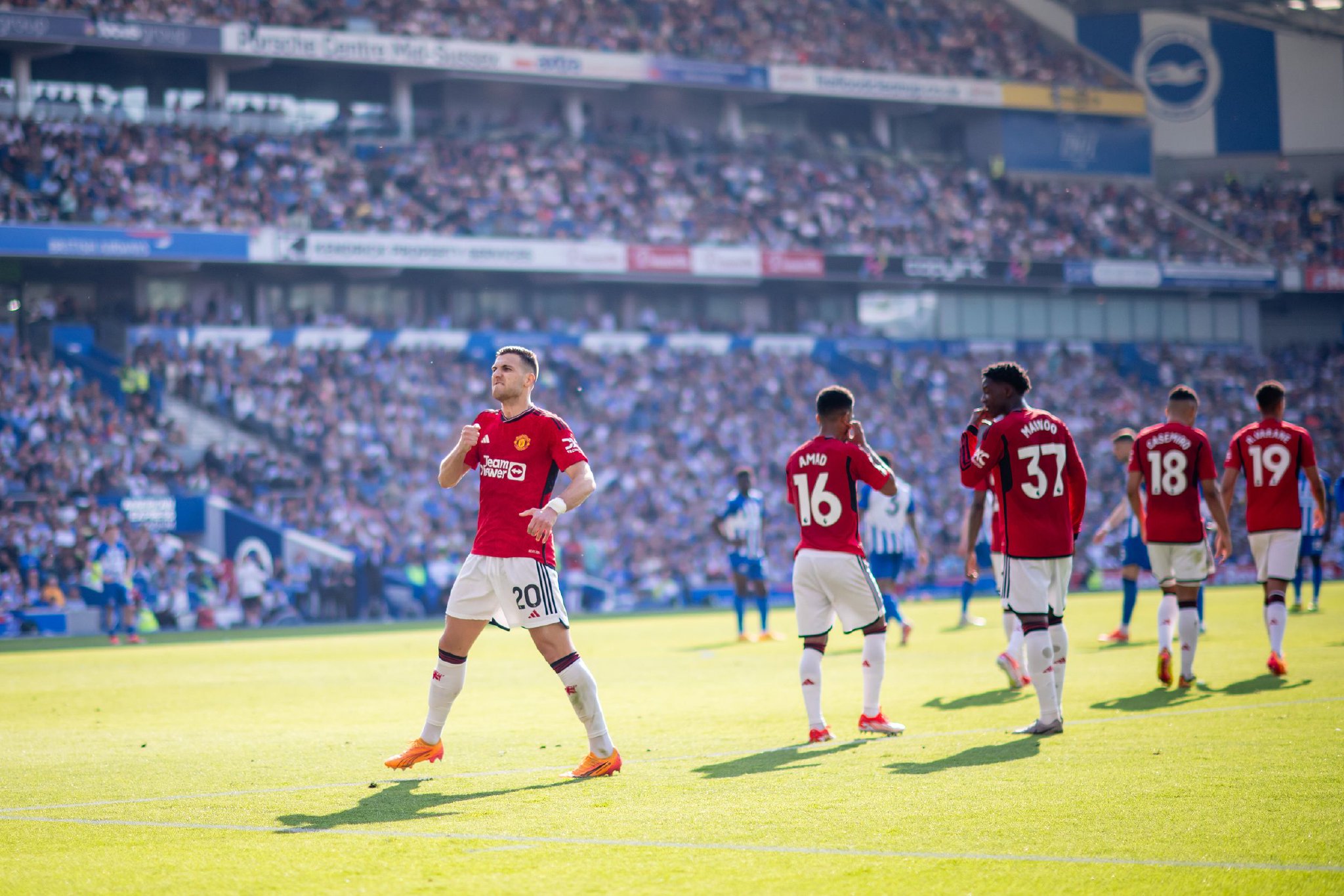 他成功地帮 他成功地帮